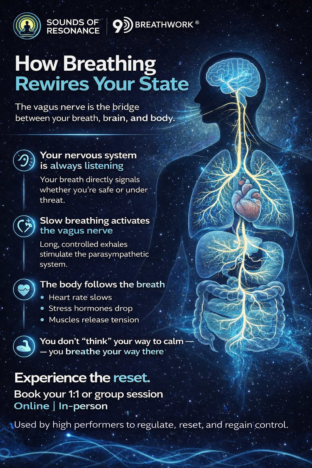 The Vagus Nerve, Breathwork, and Why You Still Feel Stuck (Even When You’re “Doing Everything Right”)