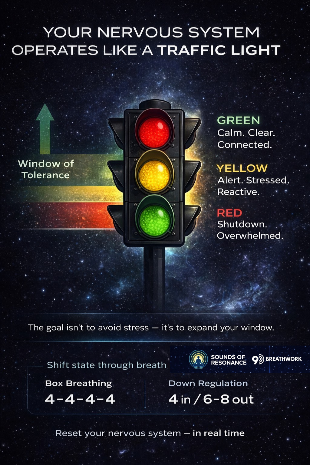 Why You’re Always “On Edge”: The Hidden Cost of Living in Fight or Flight (and How 9D Breathwork Helps)